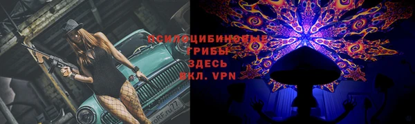 шишки Магадан