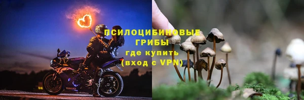 шишки Магадан
