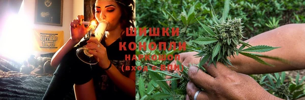 шишки Магадан